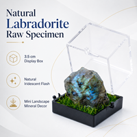 Vente en gros de spécimens minéraux bruts de labradorite naturelle, mini boîte de présentation paysagère 3,5 cm, cadeau