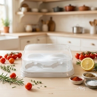 Boîtes alimentaires rectangulaires jetables en PET pour hamburgers et pains, avec finition gaufrée