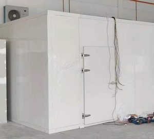 Thịt Bò Hải Sản Lạnh Lưu Trữ Phòng/Đi Bộ Trong Tủ Đông/Lạnh Giá Phòng - Product Image 5