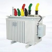 Transformador de Potencia Trifásico Sumergido en Aceite Personalizable de 500kVA-1600kVA, Modelo HUAMEI S11-M, Estructura de Bobina Toroidal para Uso Residencial