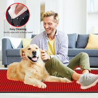 Coussin de luminothérapie infrarouge portable pour soulagement de la douleur, lumière rouge intégrale, flexible et ajustable avec minuterie 660nm 850nm