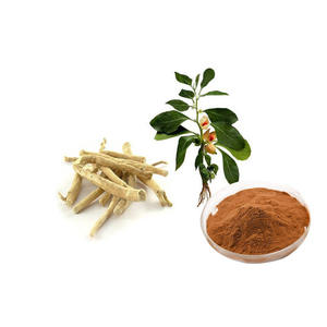 Longsheng tự nhiên Ashwagandha chiết xuất từ rễ 5% 2.5% withanolides bột đóng gói trong có thể hoặc nhựa container - Product Image 3
