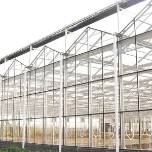 <span class=keywords><strong>Grande</strong></span> serre agricole multi-chapelles en acier galvanisé avec couverture en verre pour la culture de légumes - Product Image 2