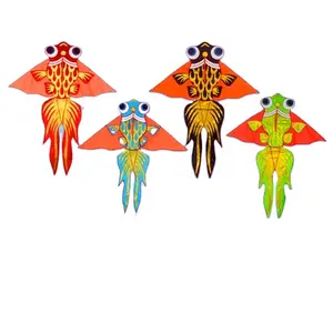 Chinese large polyester flying fish kites from the kite factory