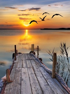 Tự làm động vật bức Tranh phong cảnh Tường Vải nhà máy trang trí nội thất kim cương khảm in vải để sử dụng nhà - Product Image 5