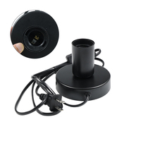 Fil de lampe standard américain 18AWG 2C avec interrupteur pour luminaires suspendus