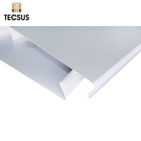 Foshan Factory Sistema de techo elástico Tira de metal Techo falso