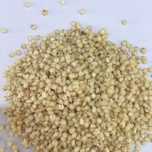 2023 yeni ürün çin tahıl ham beyaz sorgum sıcak satış - Product Image 4