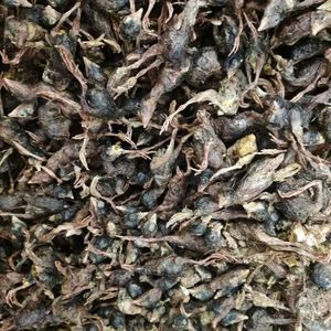 סיטונאי בהקפאה מזון מזון כלבים מיובש בהקפאה שלילה מזון יבש - Product Image 4