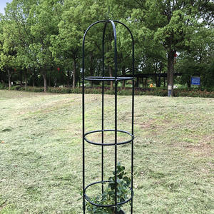 Torre de Enredadera Metálica DaringFish para Jardín, Obelisco de Soporte para Plantas Trepadoras en Interiores y Exteriores, para Flores, Verduras, Frutas y Enredaderas - Product Image 4