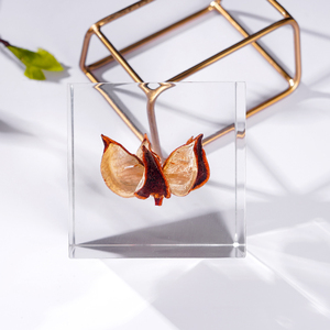 60*60mm Cube Spécimen Clair Acrylique Incorporation Décoration de La Maison <span class=keywords><strong>Creative</strong></span> Nature Presse-papiers Artefact Bloc - Product Image 5