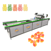 Ligne de production de bonbons gélifiés à l'amidon, machine à bonbons gélifiés à l'amidon, fabricants