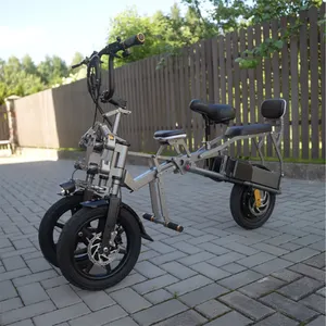 Volwassen 48V 500W Nieuw Model Opvouwbare Omgekeerde Trike Fiets 3 Wielen Voertuig Elektrische Fiets Voor Dames