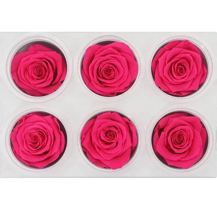 Wholesale Art house brand 5-6cm preserved rose rose head for Gift decoration