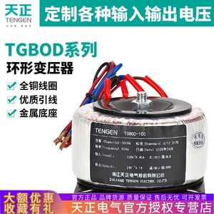 Tgbod Toroidal <b>Transformer</b> 220W All Copper Isolated Power Supply For Amplifier Stepper Motor - Product Image 5