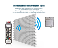 Control Remoto Inalámbrico Recargable de 8 Botones y Doble Velocidad para Grúas Industriales