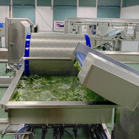 Automatische fruit- en groentesalade productielijn met snij-, was-, ontwaterings- en verwerkingsfunctie