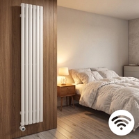 Radiateur ovale en acier de style design à économie d'énergie pour le chauffage central domestique