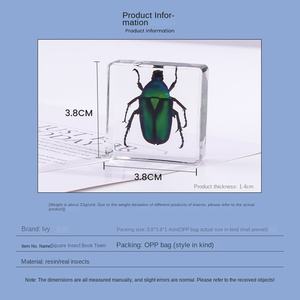 Hiedra ecológica transfronteriza nueva resina cuadrada insecto libro ciudad estudiante material didáctico modelo Animal espécimen ámbar artesanías - Product Image 4