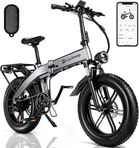 Entrepôt de Los Angeles vélo électrique direct 500W 48V loisirs batterie au Lithium vélo absorbant les chocs vélo de ville