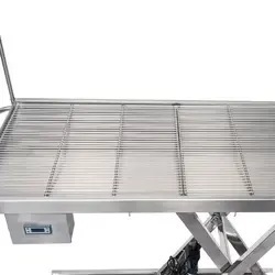 Bàn Điều Trị Chó Kinh Tế Mesa De Operaciones Phẫu Thuật Dụng Cụ Điện Thú Y - Product Image 3
