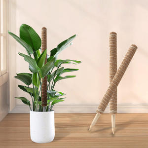 40cm tige <span class=keywords><strong>de</strong></span> mousse <span class=keywords><strong>de</strong></span> cocotier fibre <span class=keywords><strong>de</strong></span> <span class=keywords><strong>coco</strong></span> bâton <span class=keywords><strong>de</strong></span> canne <span class=keywords><strong>à</strong></span> grimper dos <span class=keywords><strong>de</strong></span> tortue soutien <span class=keywords><strong>de</strong></span> <span class=keywords><strong>la</strong></span> croissance des plantes pôle <span class=keywords><strong>de</strong></span> mousse bâton <span class=keywords><strong>de</strong></span> <span class=keywords><strong>coco</strong></span> - Product Image 2