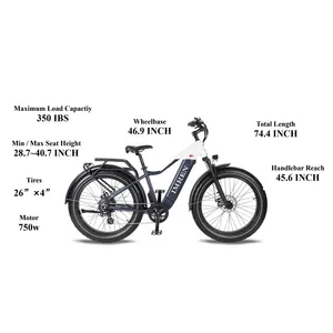 دراجات كهربائية عريضة الاطار الكهربائية الإلكترونية دراجة جبلية 7 سرعة 750w 48v EBIKE للبالغين عجلتين 750w 1000w