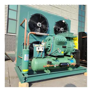 High Quality Brand Air Cooled Condensing Unit Cold Room Refrigeration Compressor Condenser Unit For Freezer Chiller