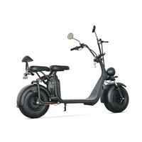 Voiture à batterie pour adulte Vélo électrique Scooter à deux roues Scooter électrique Prince Citycoco