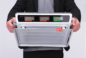 इलेक्ट्रॉनिक स्केल 30 किलोग्राम फल मूल्य पैमाने इलेक्ट्रॉनिक वजन थोक - Product Image 4