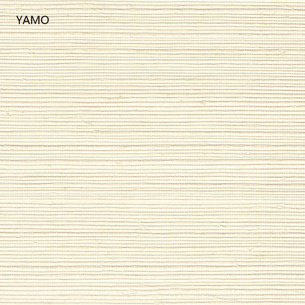 Y5-H02
