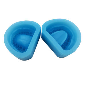 Full Arch Dental <b>Silicone</b> <b>Rubber</b> Mold Full Dentition Mold of Holostomatous Teeth Model - Product Image 1