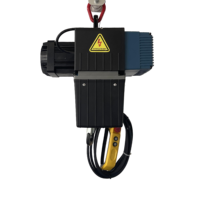 Mini grue à chaîne électrique 500kg D2B050 10m du fournisseur chinois 220v/380v pour le levage industriel