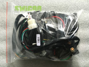 Ensemble de <span class=keywords><strong>faisceau</strong></span> de câblage électrique de vente directe d'usine pour 50-125cc Kick Start Quad ATV Go Kart Kazuma Buggy systèmes de carrosserie de <span class=keywords><strong>moto</strong></span> - Product Image 6
