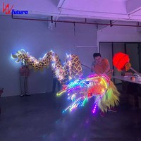 Meilleure qualité chinois traditionnel nouvel an adulte Led Dragon danse Costume Dragon