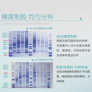 เครื่องทำเจลอัตโนมัติ BKMAMLAB รุ่น BT-20 เครื่องพ่นเจลแบบไล่ระดับสี สำหรับถังอิเล็กโทรโฟรีซิสโปรตีน - Product Image 5