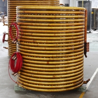 Bobina de Inducción de Cobre Refrigerada por Agua Compatible con Fuente de Alimentación de Frecuencia Media IGBT para Horno de Fusión
