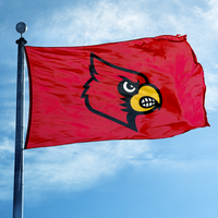 Drapeaux universitaires NCAA en gros 3x5FT 90x150cm en polyester imprimés numériquement pour les fans de sport des équipes universitaires