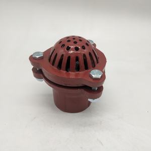 En acier au carbone clapets de pied - Product Image 2