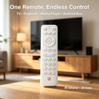 Télécommande IR personnalisée RCT1028 à 28 boutons, en ABS écologique, avec 2 piles AAA, pour Android Box, prise en charge OEM/ODM