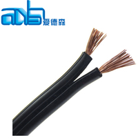 SPT SPT-1 SPT-2 und SPT-3 elektrische flexible Lampe Draht Spt-1w SPT-2W PVC-Isolierung 16awg 2 3-adriges flaches Stromkabel im Freien