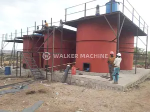 Complete Flotation Process Separation Equipment CIP Plant Gold Mining Machine