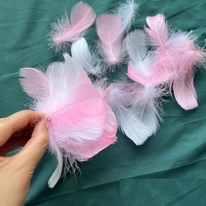 Plumas de Gallo Coloridas para Manualidades, Decoraciones para Fiestas Familiares, Bodas, Manualidades de Jardín de Infancia, Suministros para Atrapasueños - Product Image 3