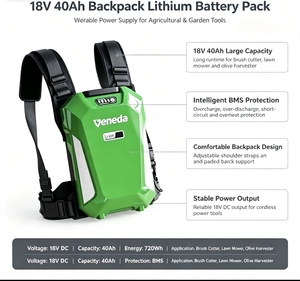 Batterie au lithium-ion rouge 18V 40Ah, sac à dos, portable, rechargeable, outil électrique sans fil, design ergonomique, longue autonomie - Product Image 6