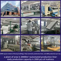 Vente directe usine pour l'exportation : Matelas en latex compressé roulé de luxe léger, épaisseur 24, personnalisable pour mobilier de chambre à coucher