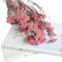 Langdurig bewaarde rijstbloemen bulk, natuurlijke gedroogde rijstbloemen voor thuis, café, hotel en villa interieurdecoratie
