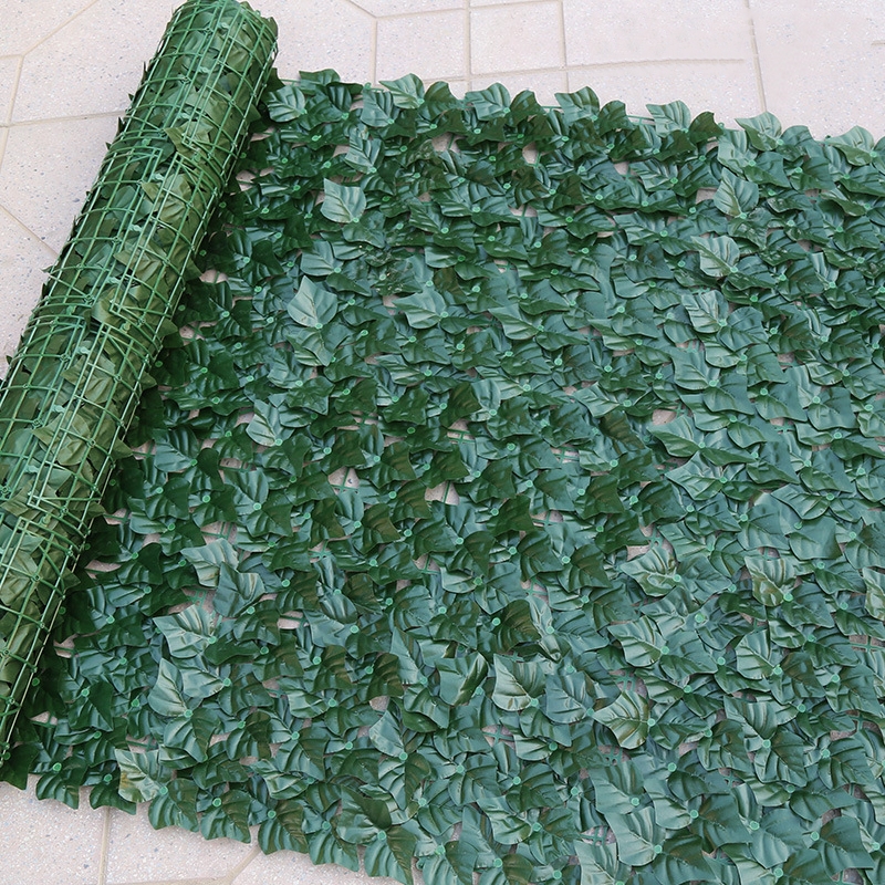 Dark green boston ivy leaf
