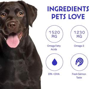 ओम/गंध कुत्ते पोषण पूरक ओमेगा-3 त्वचा कोट स्वास्थ्य समर्थन जंगली alson crol 250 mg आइसो9001 स्वास्थ्य - Product Image 4