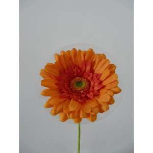 GERBERA SPRAY X1 63CM OR - Product Image 1