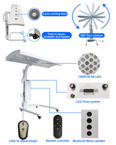 Đầy đủ ánh sáng cơ thể Thiết bị điều trị 660nm 850nm xung gần hồng ngoại liệu pháp ánh sáng giường cho vẻ đẹp Spa Salon sử dụng - Product Image 4